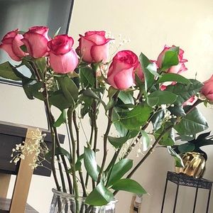 Meet your Posher, Veronica